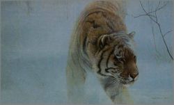 Robert Bateman - Twilight - Siberian Tiger