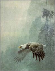 Robert Bateman - Vigilance