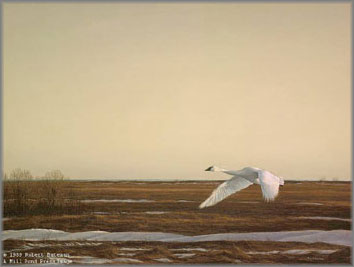 Robert bateman ford lake #1