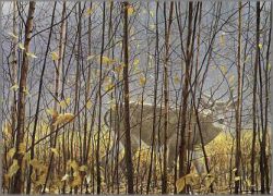 Robert Bateman, wildlife artist, originals, prints, canvases and books