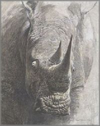 Robert Bateman - White Rhinoceros - from the Sappi Portfolio