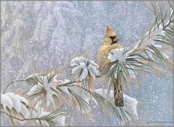 Robert Bateman - Winter Lady - Cardinal