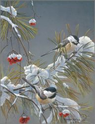 Robert Bateman - Winter Song - Chickadees