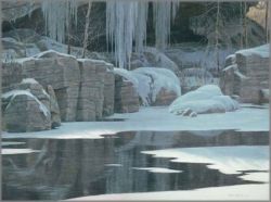 Robert Bateman - Winter Reflection