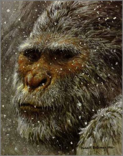 YETI - Open Edition Fine Art, Giclée, Watercolour shops Print