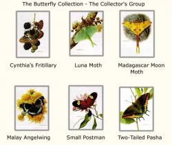 Carl Brenders - Butterflies - Collectors Group #3