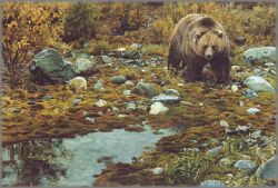 Carl Brenders - Trailblazer - Grizzly Bear