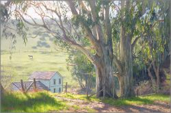 June Carey - Basking Eucalyptus