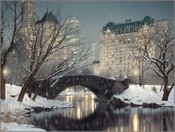 Rod Chase - Twilight in Central Park