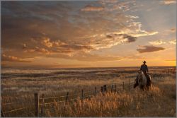 Robert Dawson - Sunset on the Prairie