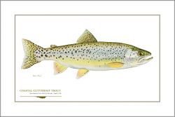 Rainbow Trout Open Edition Print by Flick Ford, Western Native