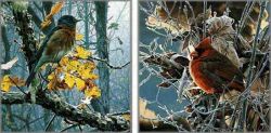 Cardinal Winter 8 x 10 Fine Art Print — Erika Roberts Studio