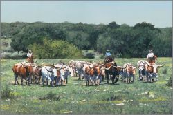 Ragan Gennusa - Texas Tradition