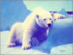 High quality Polar Bear Varied Limited Edition (50) print