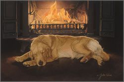 John Weiss - Feeling of Warmth, A